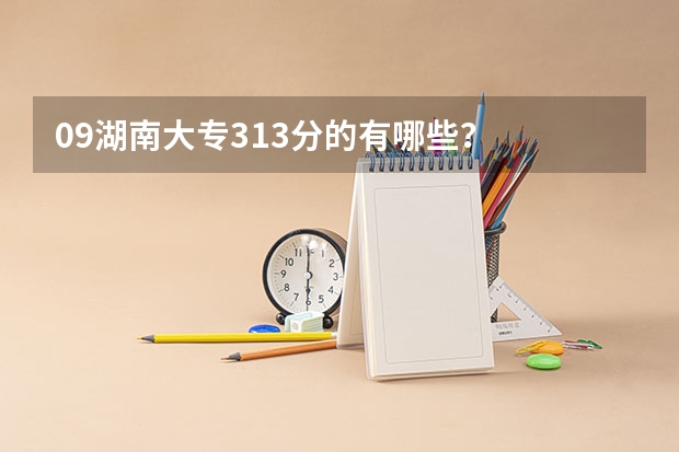 09湖南大专313分的有哪些?